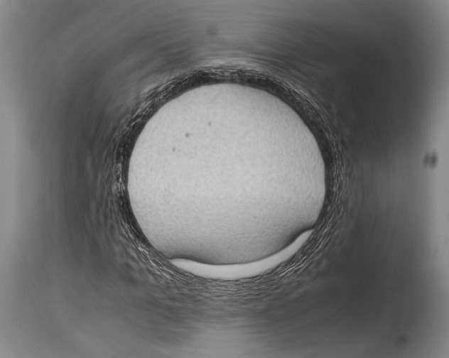 X0000114680965200911181227