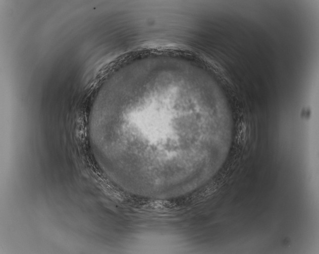 X0000114680966200911181227