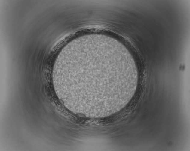 X0000114680967200911181227