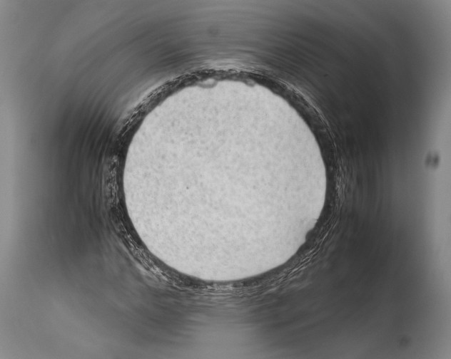 X0000114680968200911181227