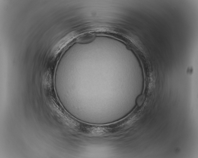 X0000114680969200911181227