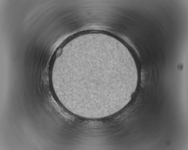 X0000114680972200911181227