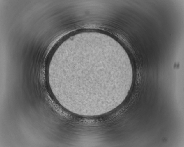 X0000114680976200911181227