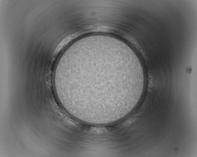X0000114680978200911181226