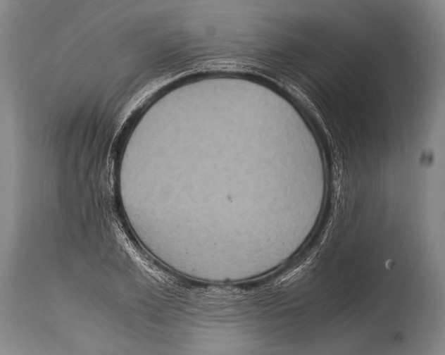 X0000114680981200911181226