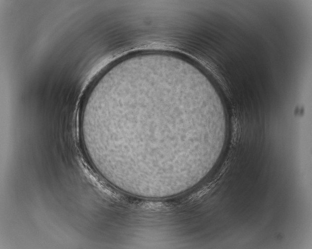X0000114680982200911181226