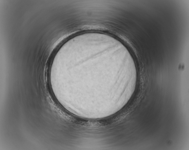 X0000114680983200911181226