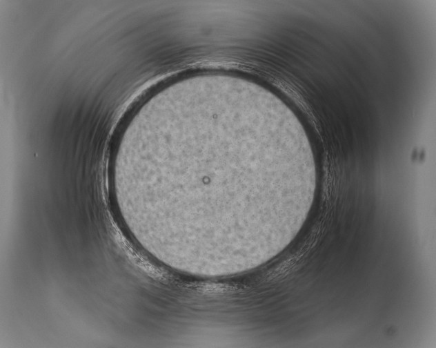 X0000114680984200911181226