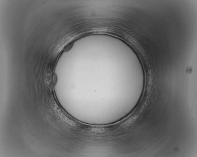 X0000114680985200911181226