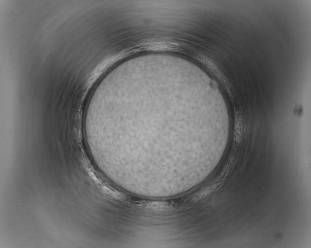 X0000114680986200911181226