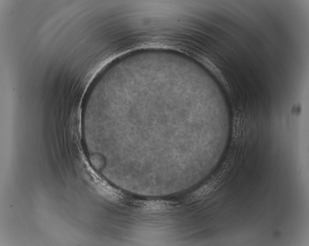 X0000114680988200911181226