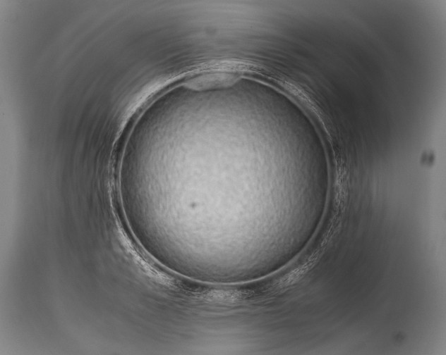 X0000114680989200911181226