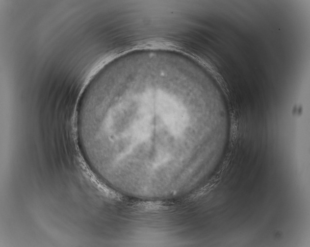 X0000114680990200911181226