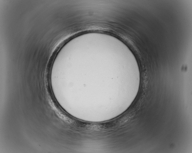 X0000114680991200911181226