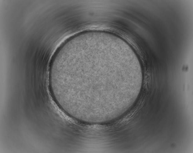 X0000114680992200911181226