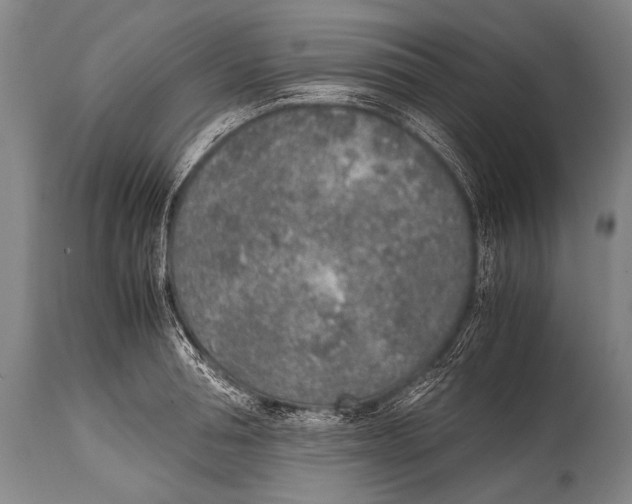X0000114680994200911181226