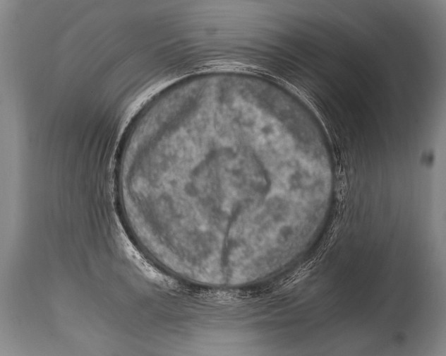 X0000114680995200911181226