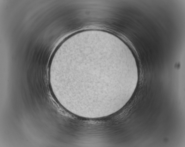 X0000114680996200911181226