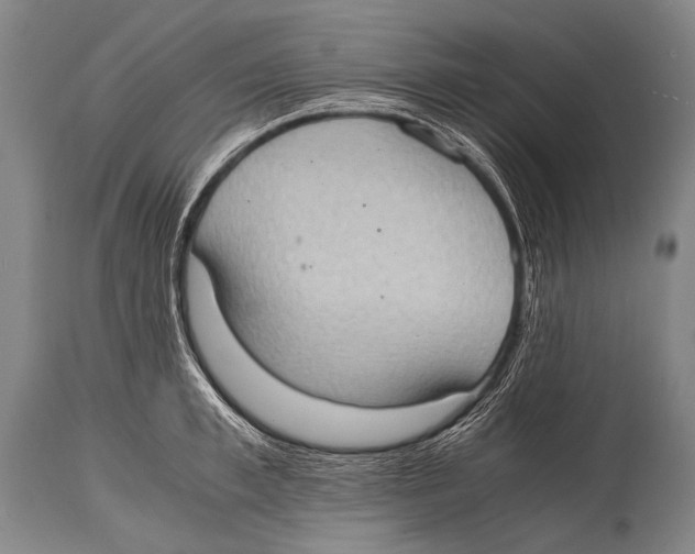 X0000114680997200911181226