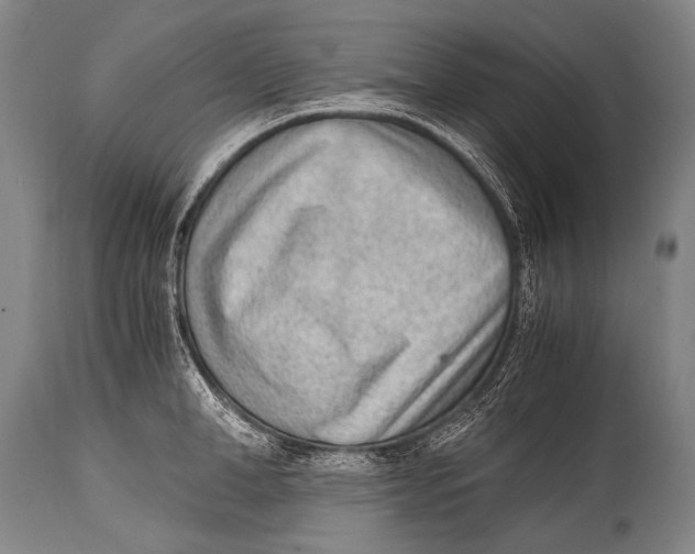 X0000114680998200911181226