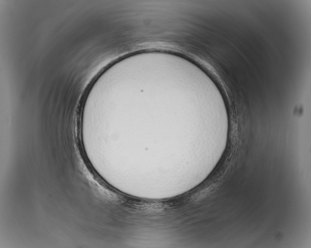 X0000114680999200911181226