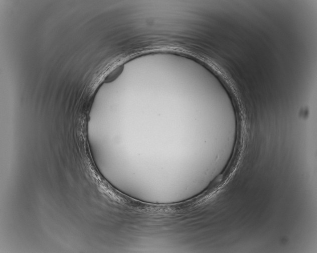 X0000114681001200911181226