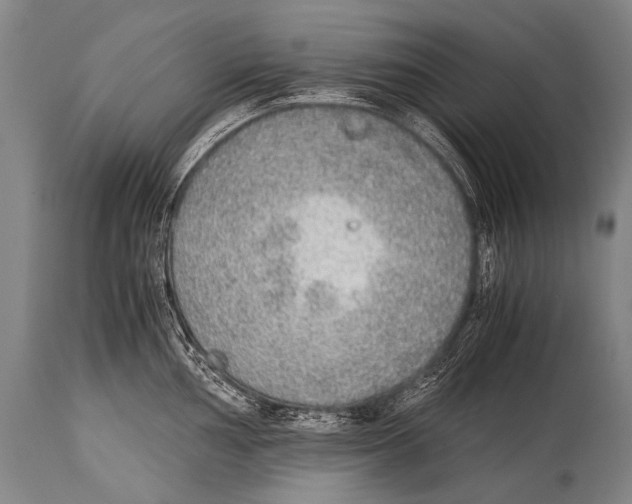 X0000114681002200911181226