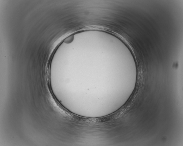 X0000114681003200911181226