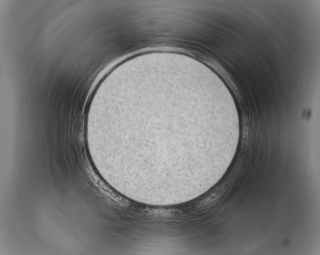 X0000114681004200911181226