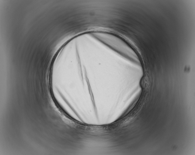 X0000114681007200911181226