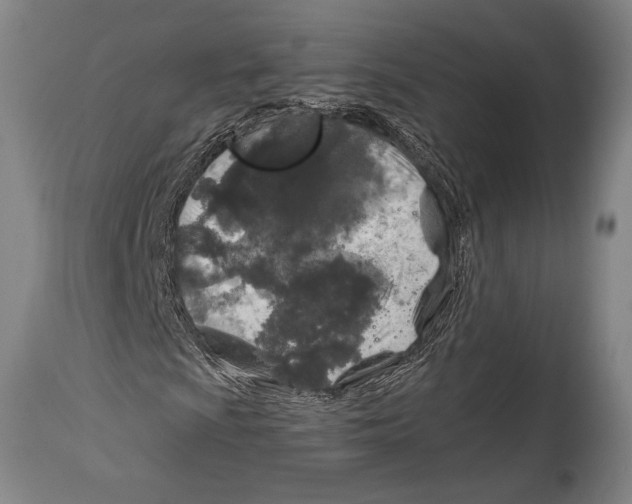 X0000114681009200911181225