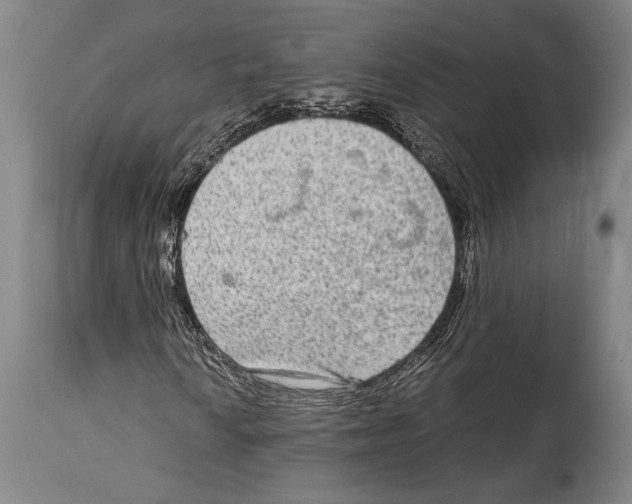 X0000114681010200911181225