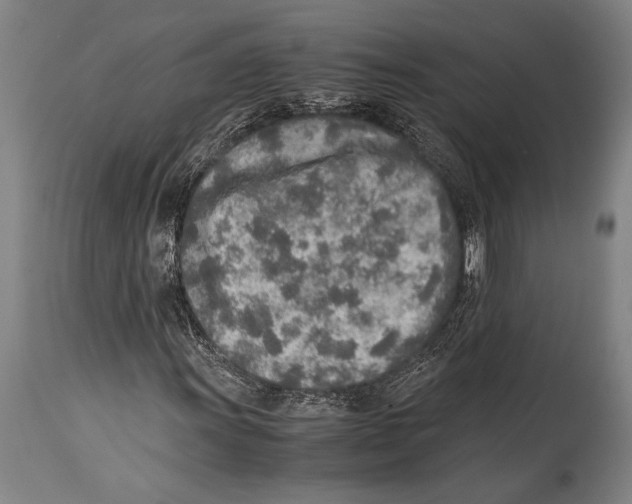 X0000114681011200911181225