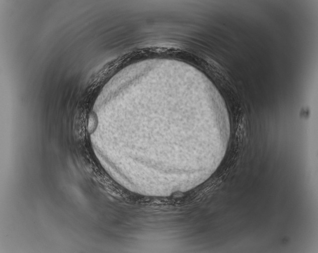 X0000114681014200911181225