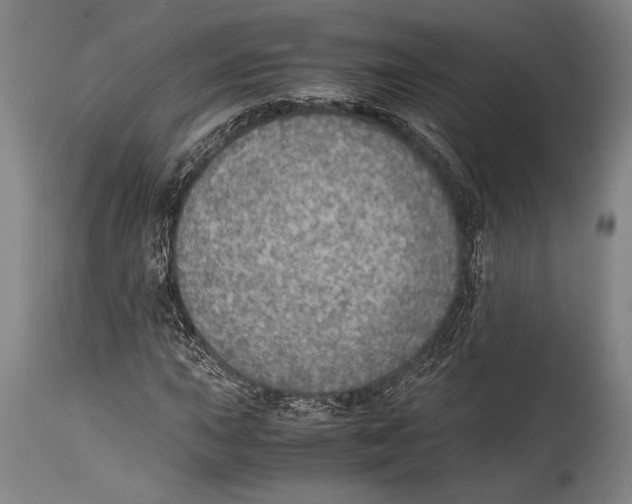 X0000114681015200911181225
