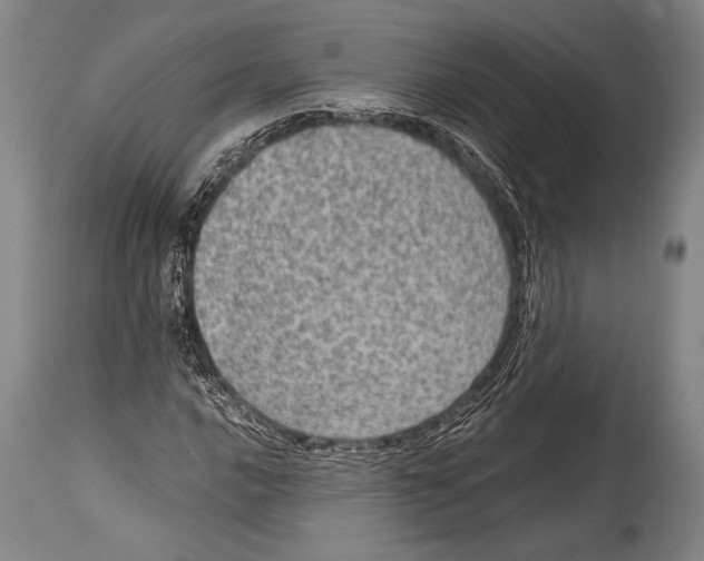 X0000114681016200911181225