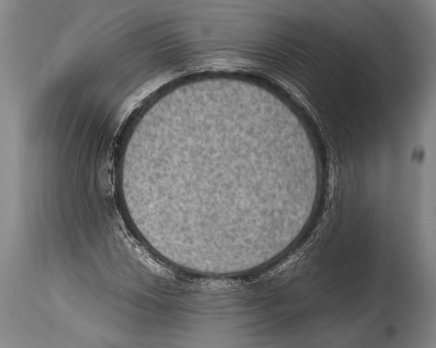 X0000114681018200911181225
