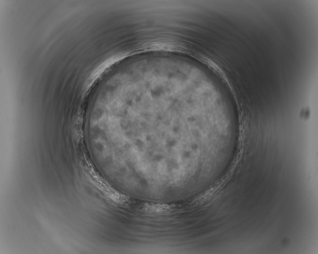 X0000114681019200911181225