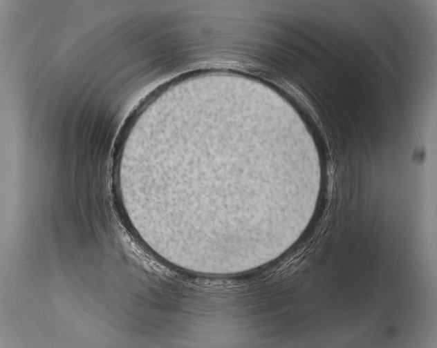 X0000114681020200911181225