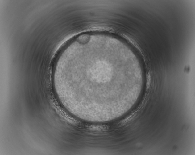 X0000114681021200911181225