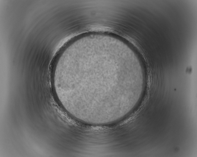 X0000114681022200911181226