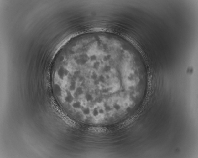 X0000114681023200911181226