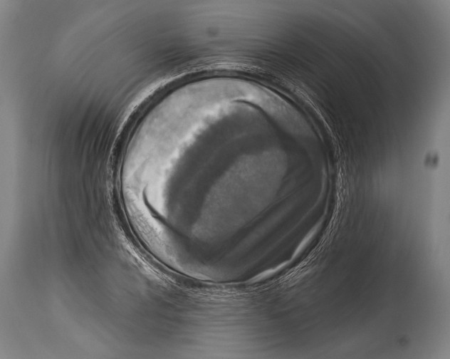 X0000114681024200911181226
