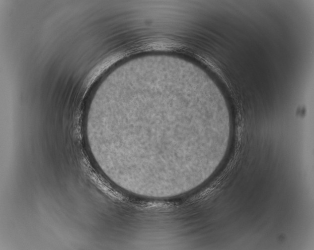 X0000114681026200911181226