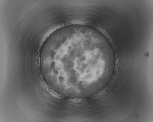 X0000114681027200911181226