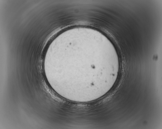 X0000114681029200911181226