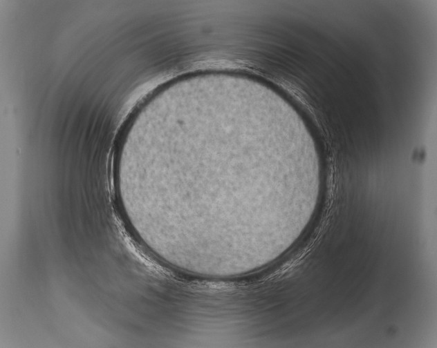 X0000114681030200911181226