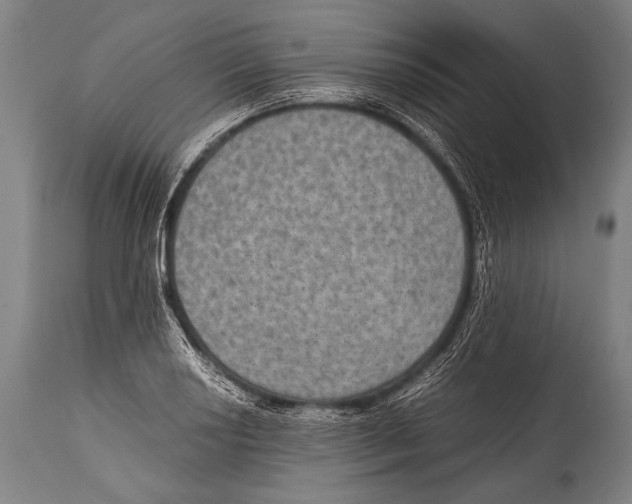 X0000114681034200911181226