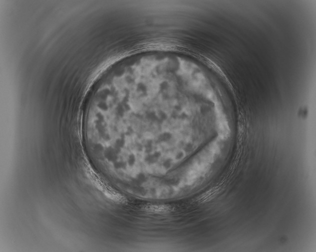 X0000114681035200911181226