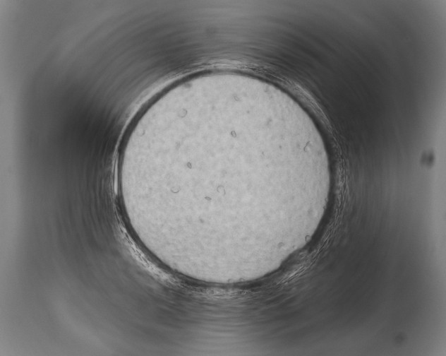 X0000114681036200911181226